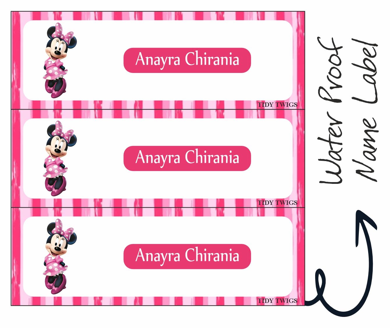 Minnie Print Waterperproof Labels