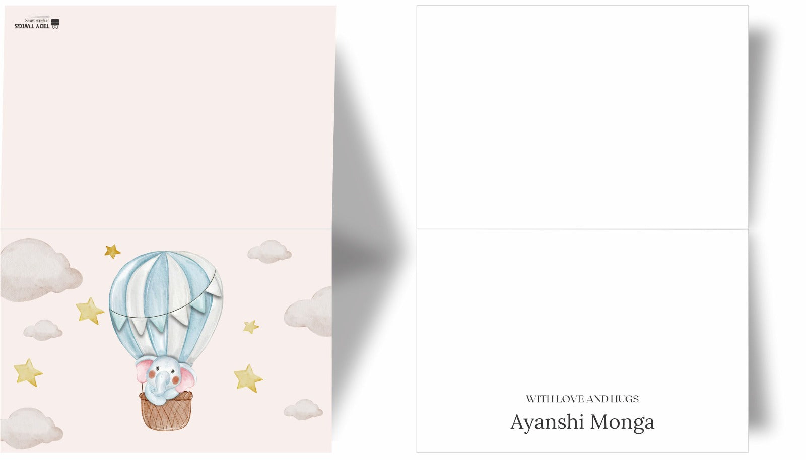 Hot Air Balloon Print Note Cards