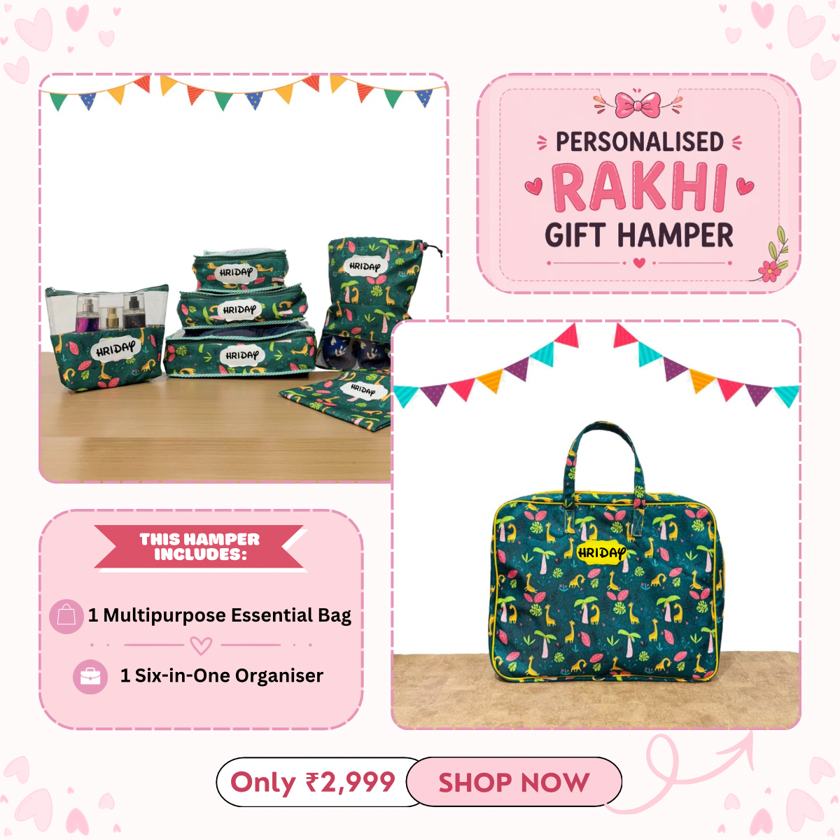 6 in 1 Organiser + Multipurpose Essential Bag