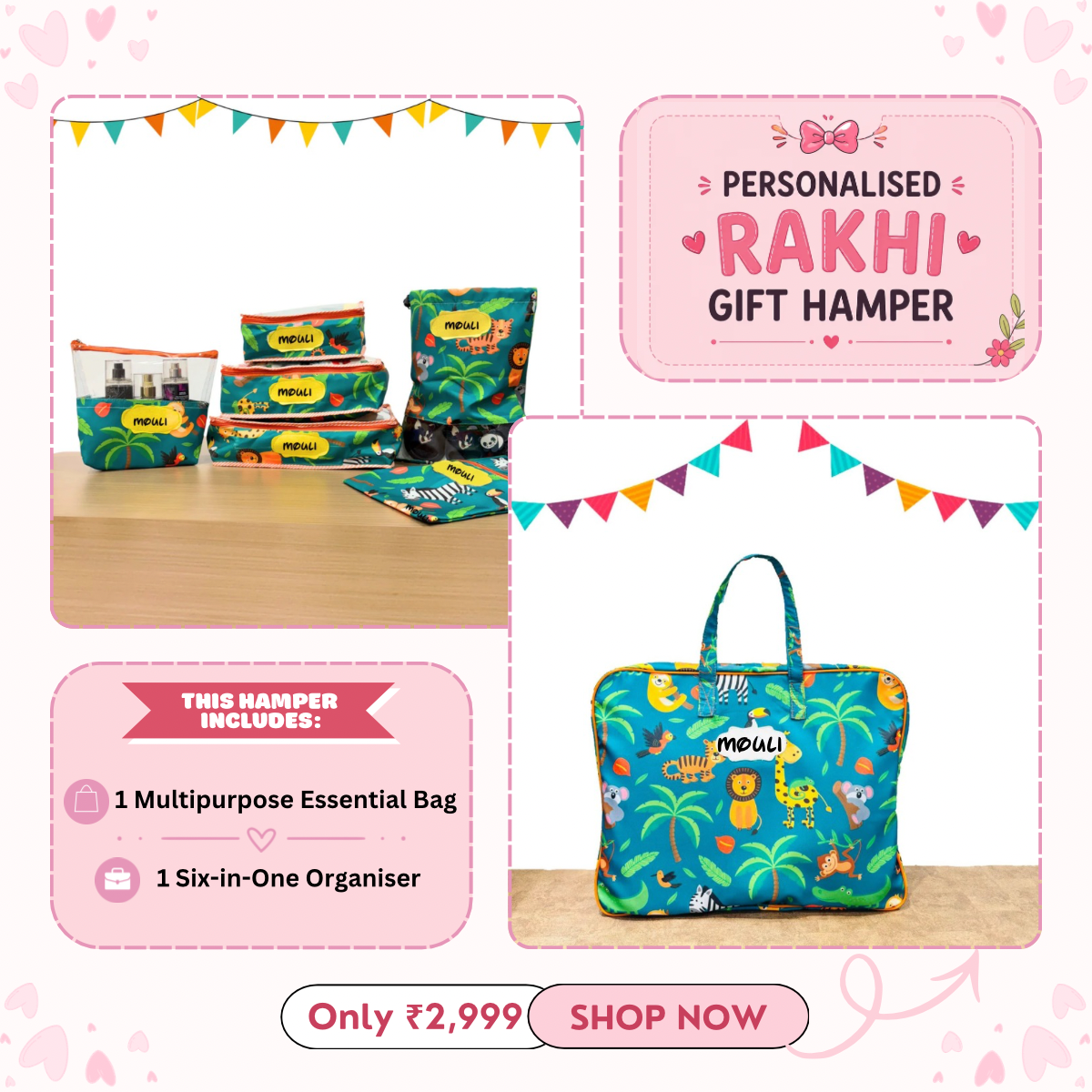 6 in 1 Organiser + Multipurpose Essential Bag