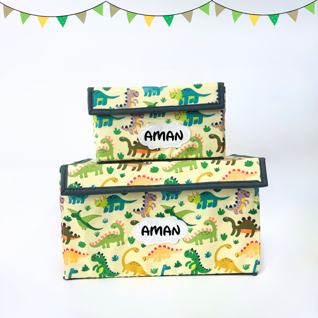 Dinosaurs Storage Boxes