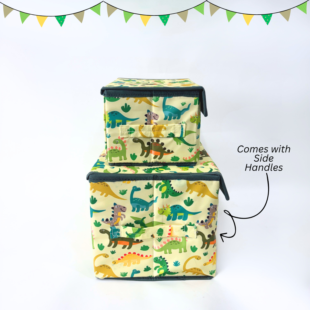 Dinosaurs Storage Boxes